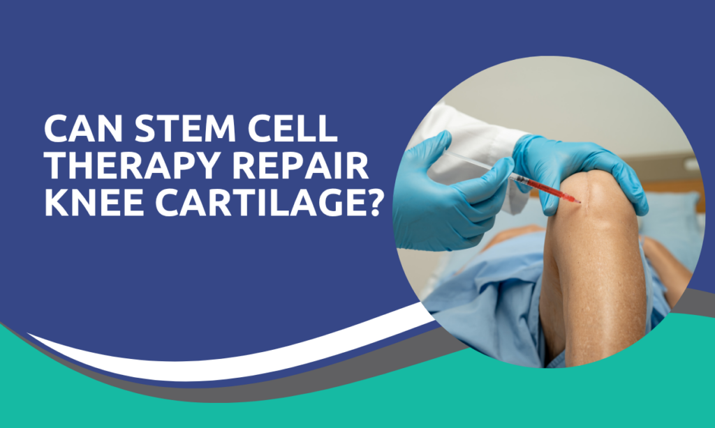 Can Stem Cell Therapy Repair Knee Cartilage?