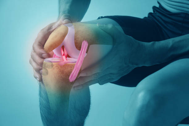 Close-up of a knee being held, with a pink brace and highlighted ligaments illustrating the knee joint and injury visualization